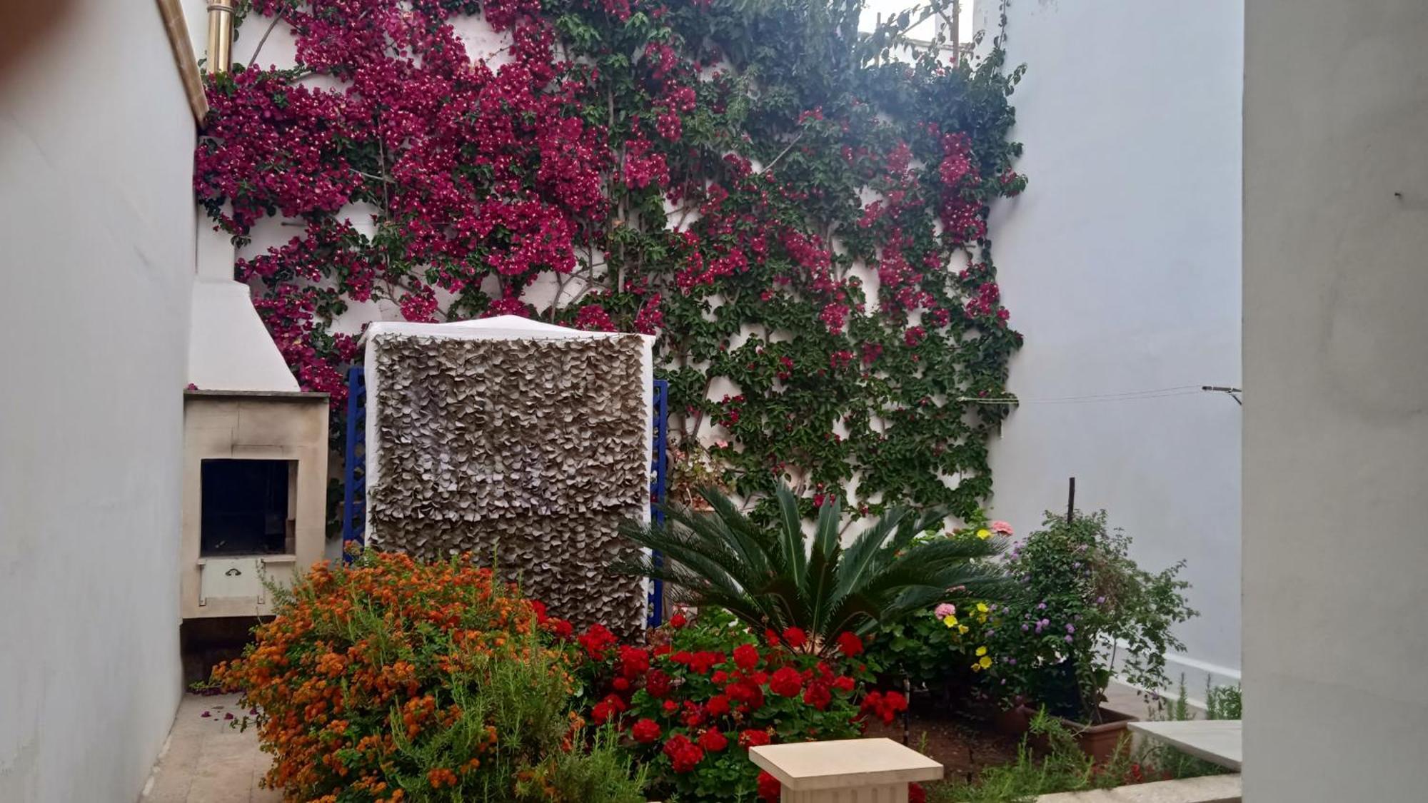 Casa A 30 M Dal Mare Villa Sant Isidoro  Dış mekan fotoğraf
